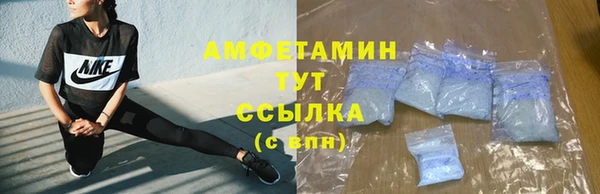 прущие грибы Гусь-Хрустальный