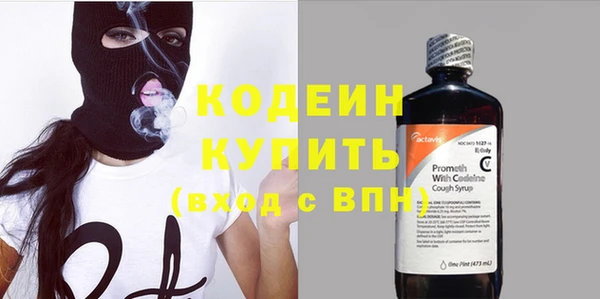 прущие грибы Гусь-Хрустальный