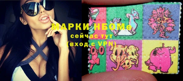 прущие грибы Гусь-Хрустальный