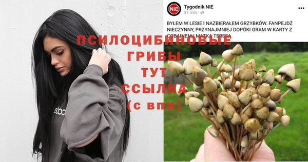 каннабис Гусиноозёрск