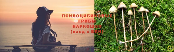 прущие грибы Гусь-Хрустальный