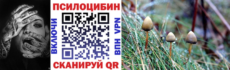 Галлюциногенные грибы прущие грибы  купить наркотик  Благовещенск 